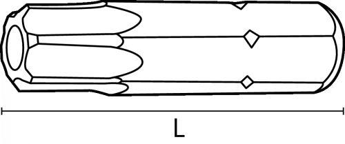 36045_sketch.jpeg