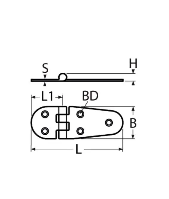 8571_sketch.webp