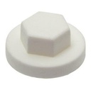 CAPUCHONS PLASTIQUE (VIS DIAM.6,3) - POLYETHYLENE
