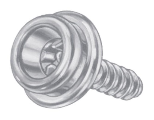 BOUTON DURABLE-DOT AVEC VIS BOIS - INOX A2/LAITON