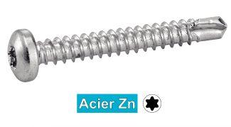 [33342] [DIN 7504 M] VIS AUTOPERCEUSES TETE CYLINDRIQUE SIX LOBES - ACIER ZN (SIMILAR ISO 15481)