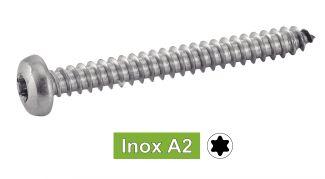 [ISO 14585] SIX LOBE PAN HEAD SELF TAPPING SCREWS - Stainless steel a2 (similar DIN 7981)