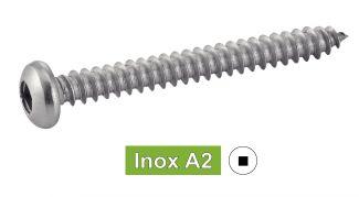 [DIN 7981] VIS A TOLE TETE CYLINDRIQUE EMPREINTE CARREE - INOX A2 (SIMILAR ISO 7049, NFE25-658, UNI 6954)