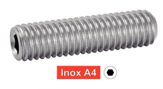 [ISO 4029] PARAFUSOS SEM CABEÇA HEXAGONAIS - AÇO INOXIDÁVEL A4 (similares a DIN 916, NFE27-183, UNI 5929)