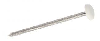 POINTE ANNELEE TETE BOMBEE PLASTIFIEE BLANCHE - INOX A4
