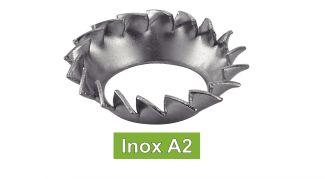 [DIN 6798 V] RONDELLE -A VENTAGLIO- CON DENTATURA ESTERNA V - ACCIAIO INOX A2 (UNI 8841)